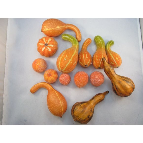Variety of 14 Fall Decorative Artificial Pumpkins Squash Home Decor - Picture 5 of 12
